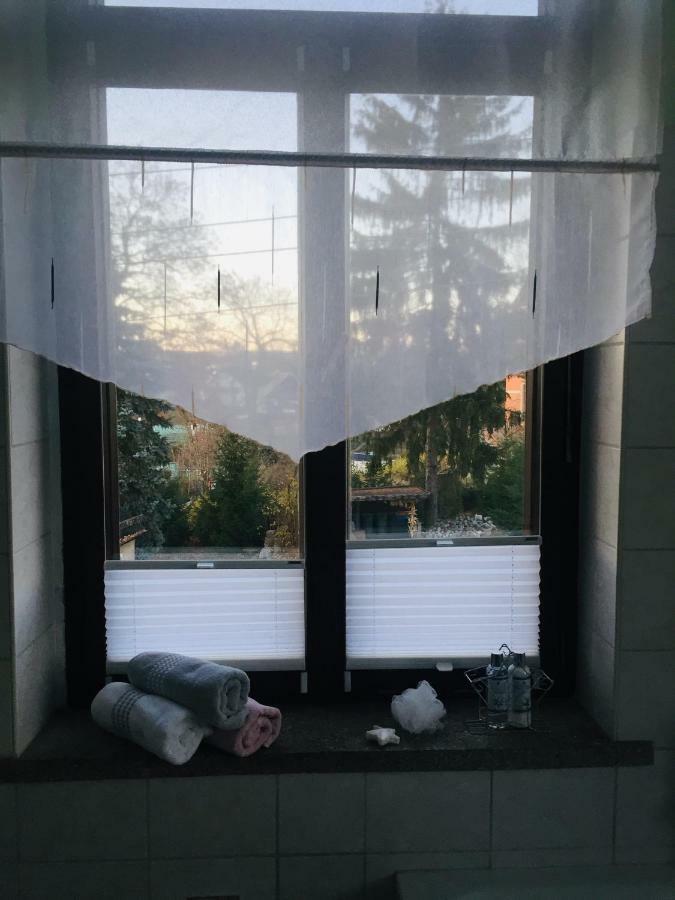 Turmvilla Vogtland Oelsnitz  Extérieur photo